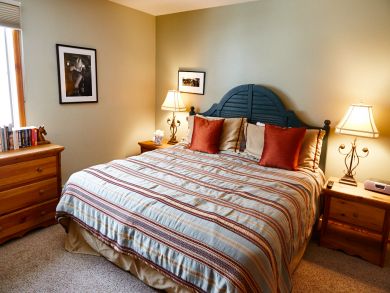 Snowmass Condo 924171