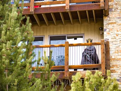 Snowmass Condo 924171