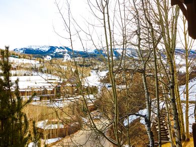 Snowmass Condo 924171