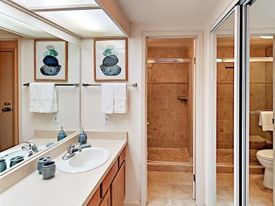 Snowmass Condo 924172