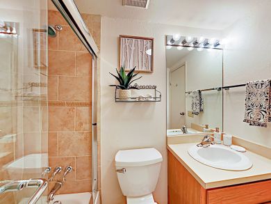 Snowmass Condo 924172