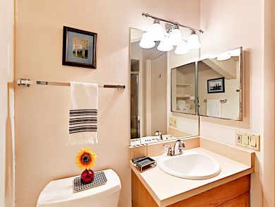 Snowmass Condo 924172