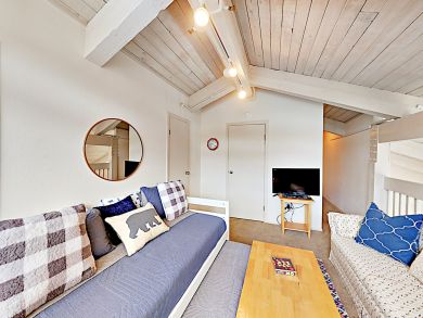 Snowmass Condo 924172