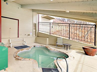 Snowmass Condo 924172