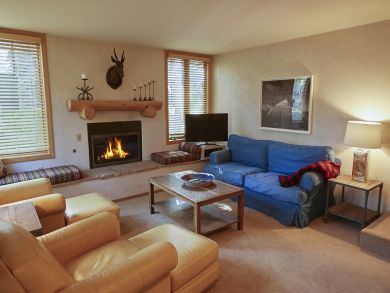 Snowmass Condo 924173