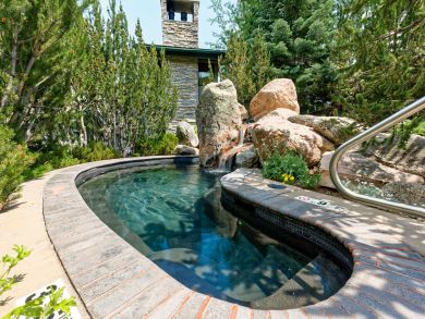Snowmass Condo 924173