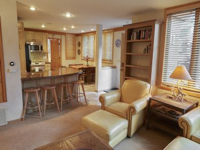Snowmass Condo 924173