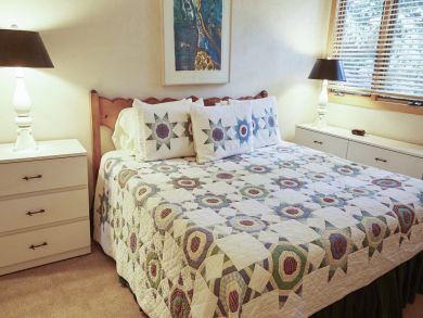 Snowmass Condo 924173