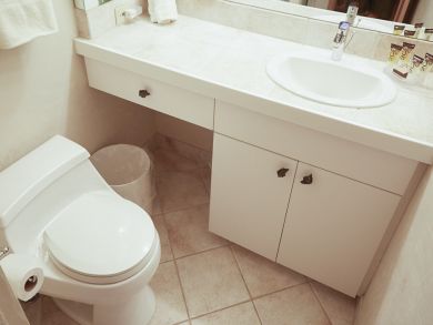 Snowmass Condo 924173