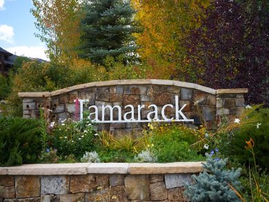 Snowmass Condo 924173
