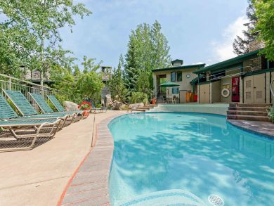 Snowmass Condo 924173