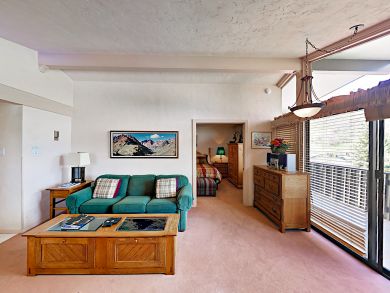 Snowmass Condo 924174