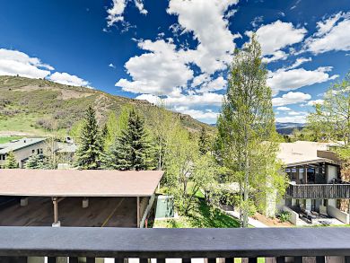 Snowmass Condo 924174