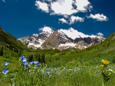 Snowmass Condo 924174