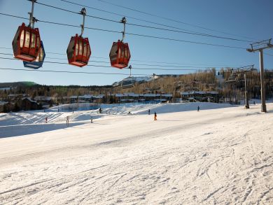 Snowmass Condo 924174