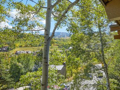 Snowmass Condo 924177
