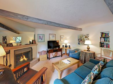 Snowmass Condo 924181