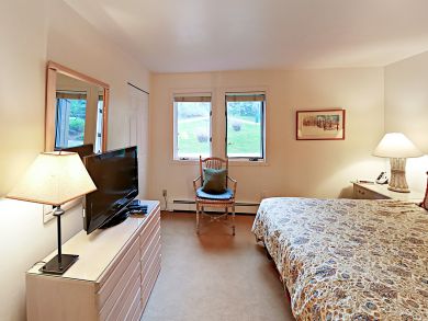 Snowmass Condo 924181