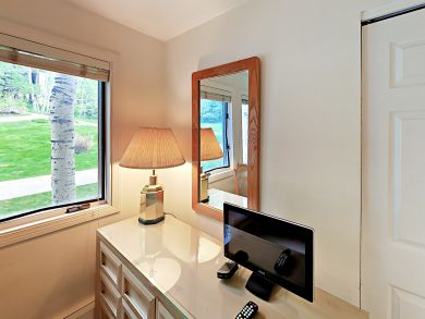Snowmass Condo 924181