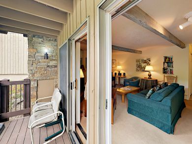 Snowmass Condo 924181