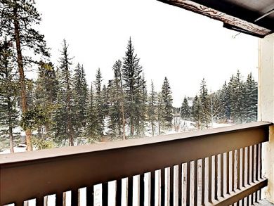 Vail Vacation Condo Sleeps Five Guests