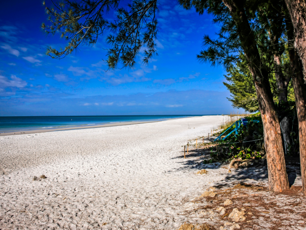 Stunning Outdoor Oasis Area. Anna Maria Vacation Home