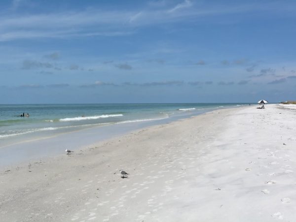 Anna Maria Duplex Vacation Rental Near Beach Path