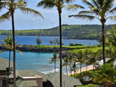Kapalua Luxury Vacation Condo Walk to Beach Sleeps 4 Guests - additional view, photo 5