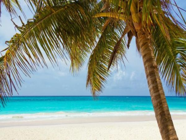 Key Colony Beach Luxury Vacation Home - VIP Retreat