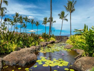 Wailea Oceanfront Three Bedroom Vacation Rental Wailea Oceanfront Three Bedroom Vacation Rental