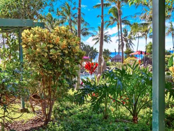 Maui Vacation Rentals Luxury Kaanapali Beach Rental with Pools & Ocean Views