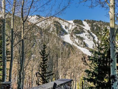 Aspen Home 924336