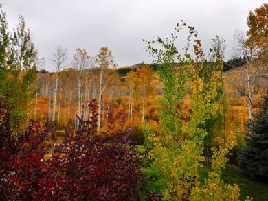 Aspen Home 924339