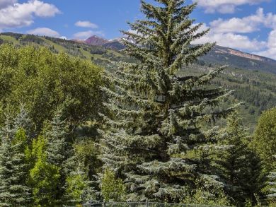 Aspen Home 924347