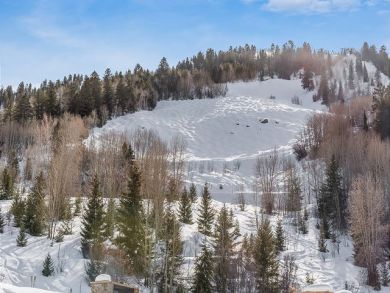 Aspen Home 924351