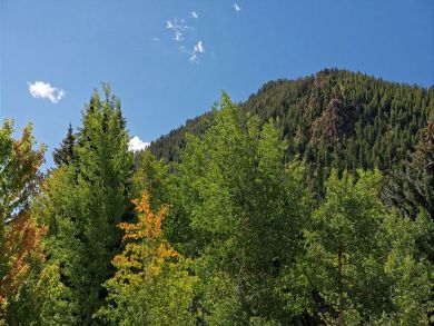 Aspen Home 924359