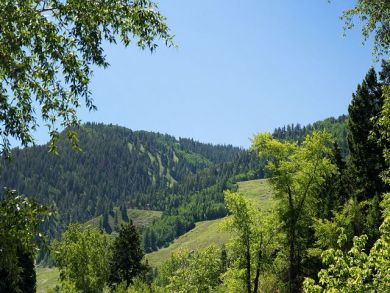 Aspen Home 924363
