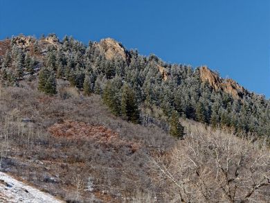 Aspen Home 924367