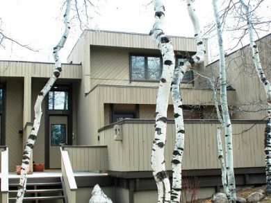 Aspen Home 924368