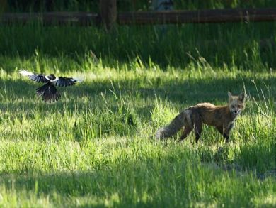 Aspen Home 924368