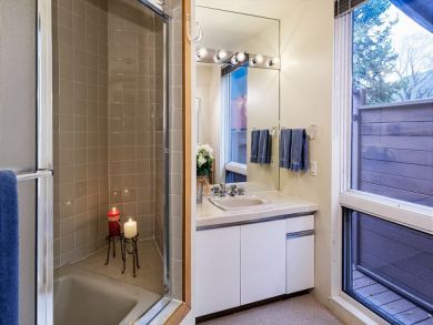 Aspen Vacation Rental