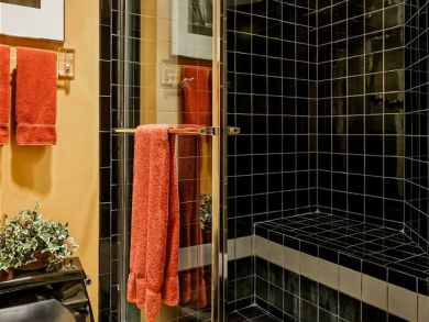 Aspen Vacation Rental