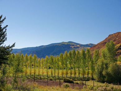 Aspen Home 924397