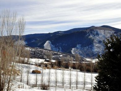 Aspen Home 924397