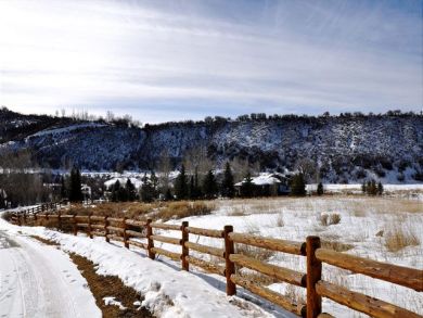 Aspen Home 924397