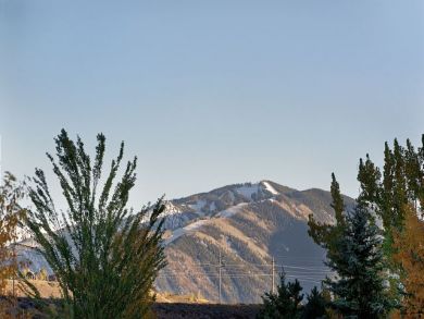 Aspen Home 924399