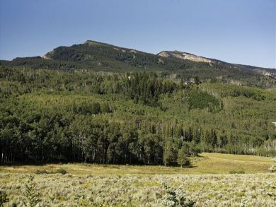 Aspen Home 924423