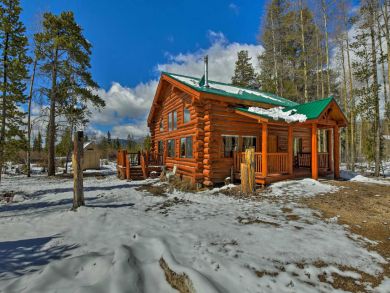 Winter Park Home 924604
