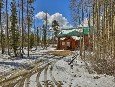 Winter Park Home 924604