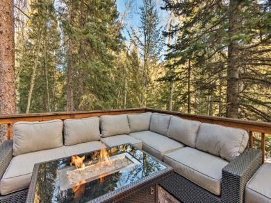 Winter Park Home 924605